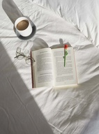 Bokmärke Blomma, Ros Röd