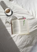 Bokmärke Blomma, Vildros Rosa