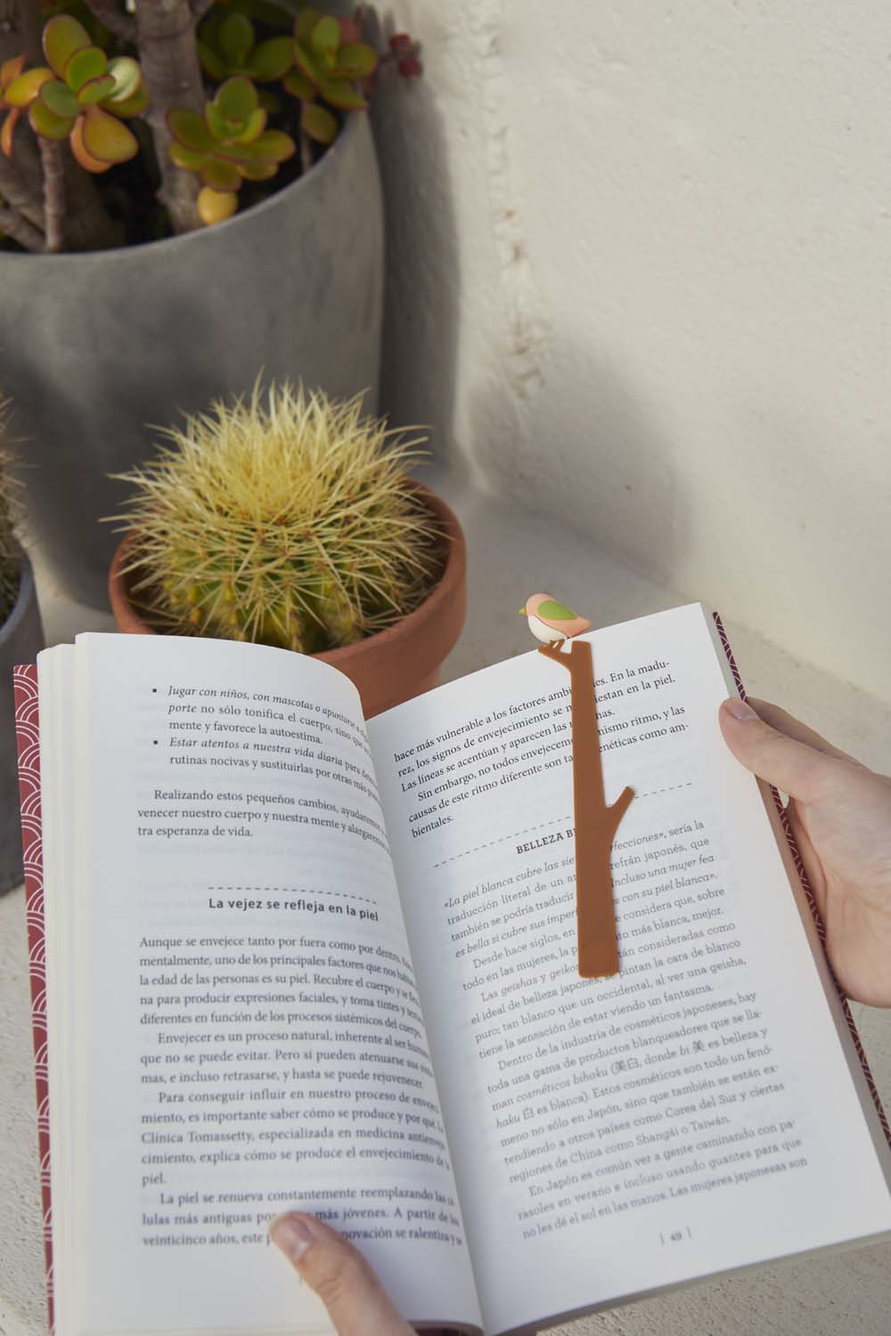 Bokmärke småfåglar, Rosa