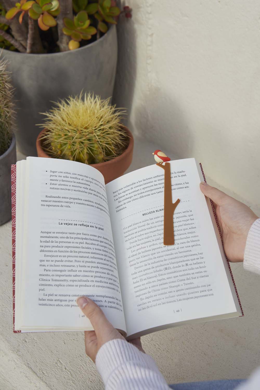 Bokmärke småfåglar, Röd