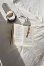 Bokmärke småfåglar, Blå