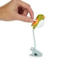 Bokljus Småfåglar, Grön