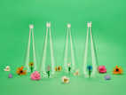 Flaska Botanical Anemone 1,0l, Borosilikatglas