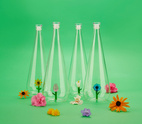 Flaska Botanical Anemone 1,0l, Borosilikatglas