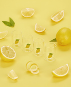 Shotsglas Botanical, Citron, set med 4