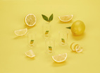 Shotsglas Botanical, Citron, set med 4