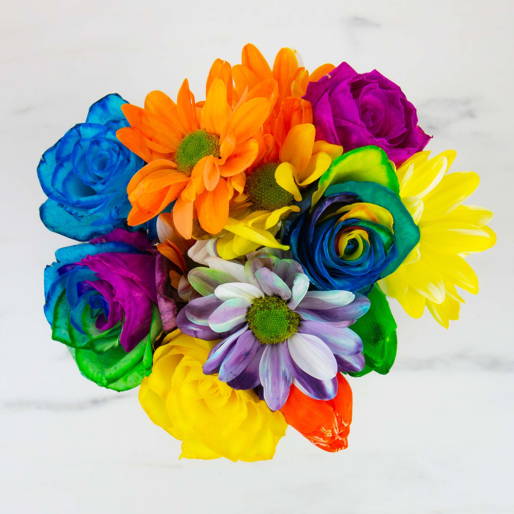 DIY Färga blommor Regnbåge