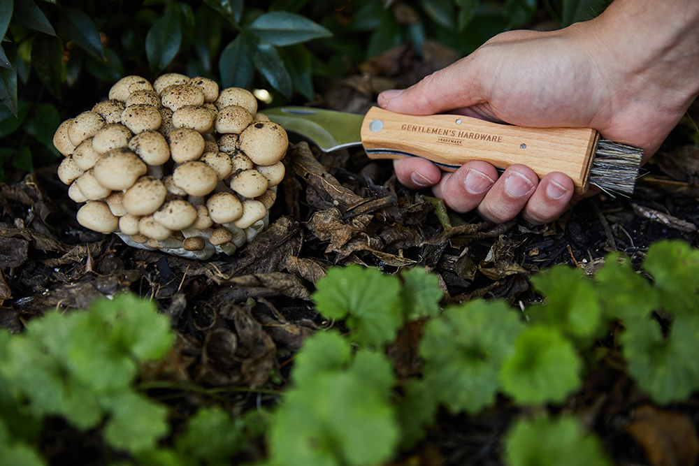 Foraging Knife