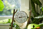Trädgårdstermometer