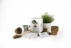 Grow Kit Bonsai Trees