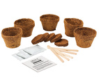 Grow Kit Carnivorous Plants