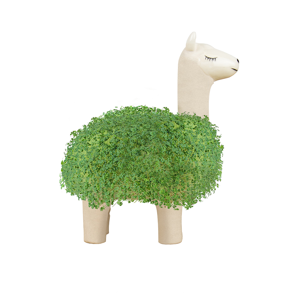 Planter Llama with seeds