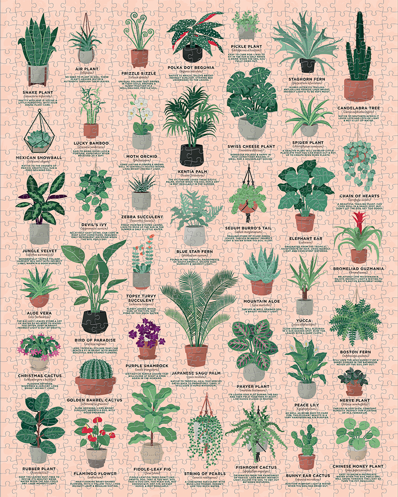 Puzzle House Plants