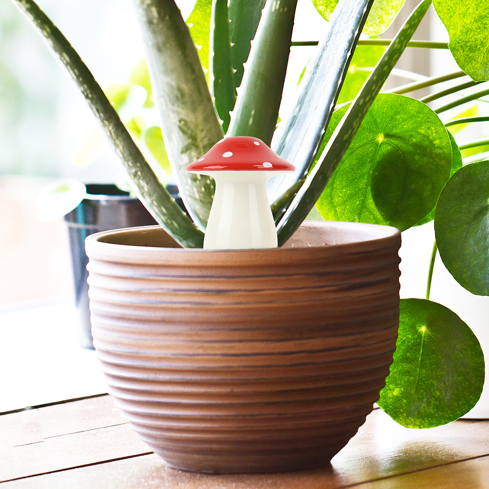 Self Watering Mushroom