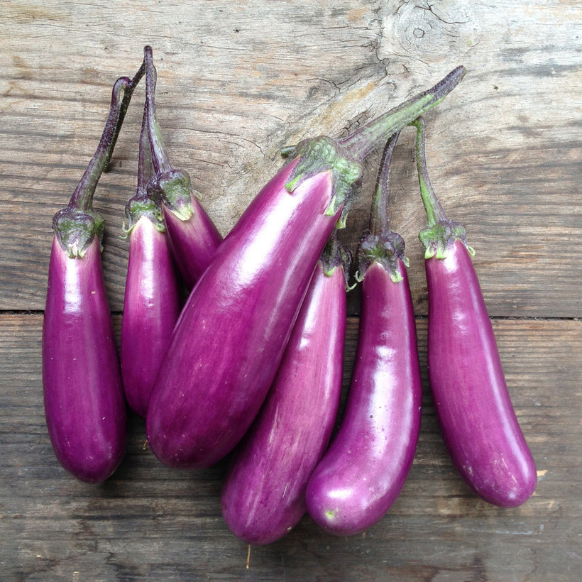 Slim Jim Eggplant