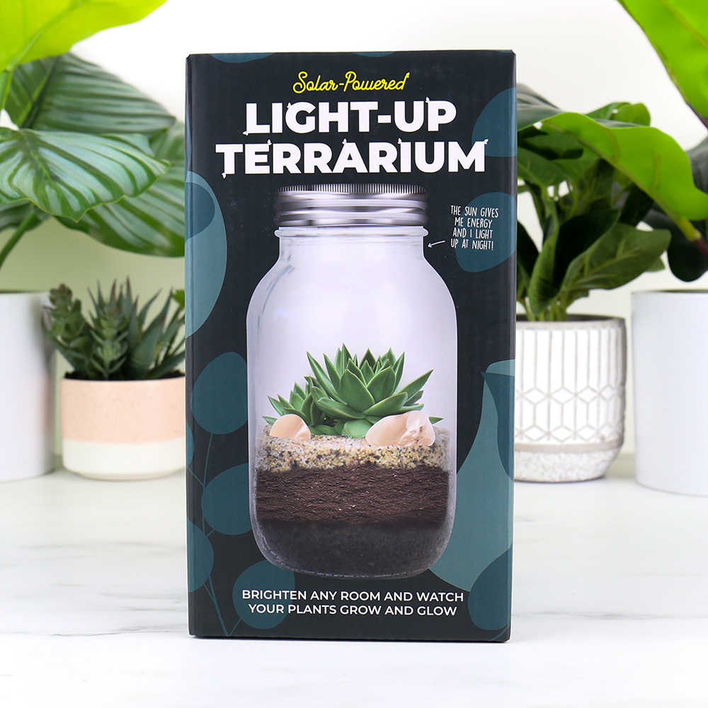 Solar Powered Terrarium