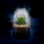 Solcells Terrarium