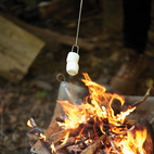 Telescoping Roasting Forks