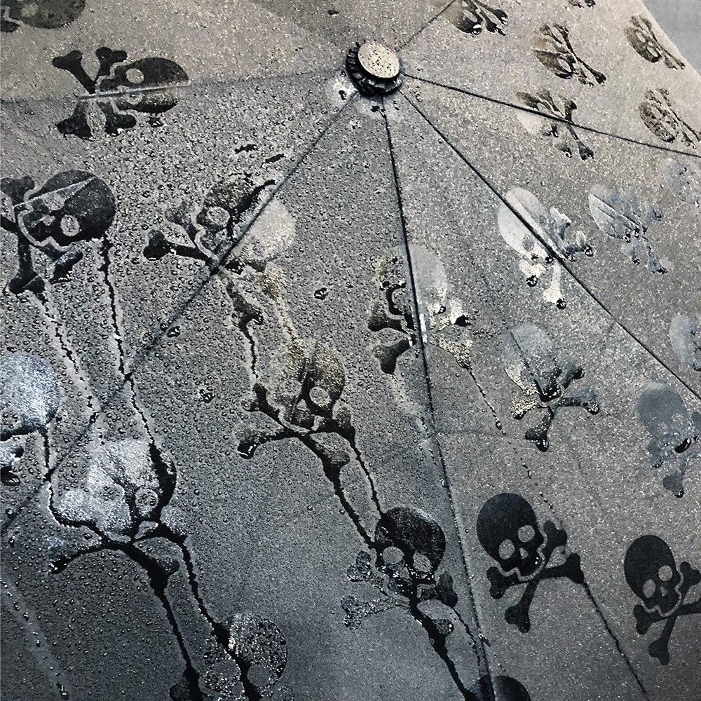 Umbrella Hidden Skulls