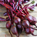 REA Bladrödbeta Bull's Blood
