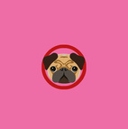 *Pop-Upkort Pug