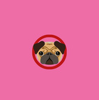 Pop Up Pug