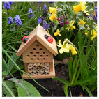 Gift in a Tin Insect House