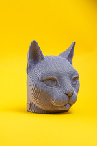 Cartonic 3D Pussel KATT