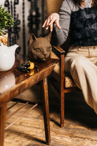 Cartonic 3D Pussel KATT