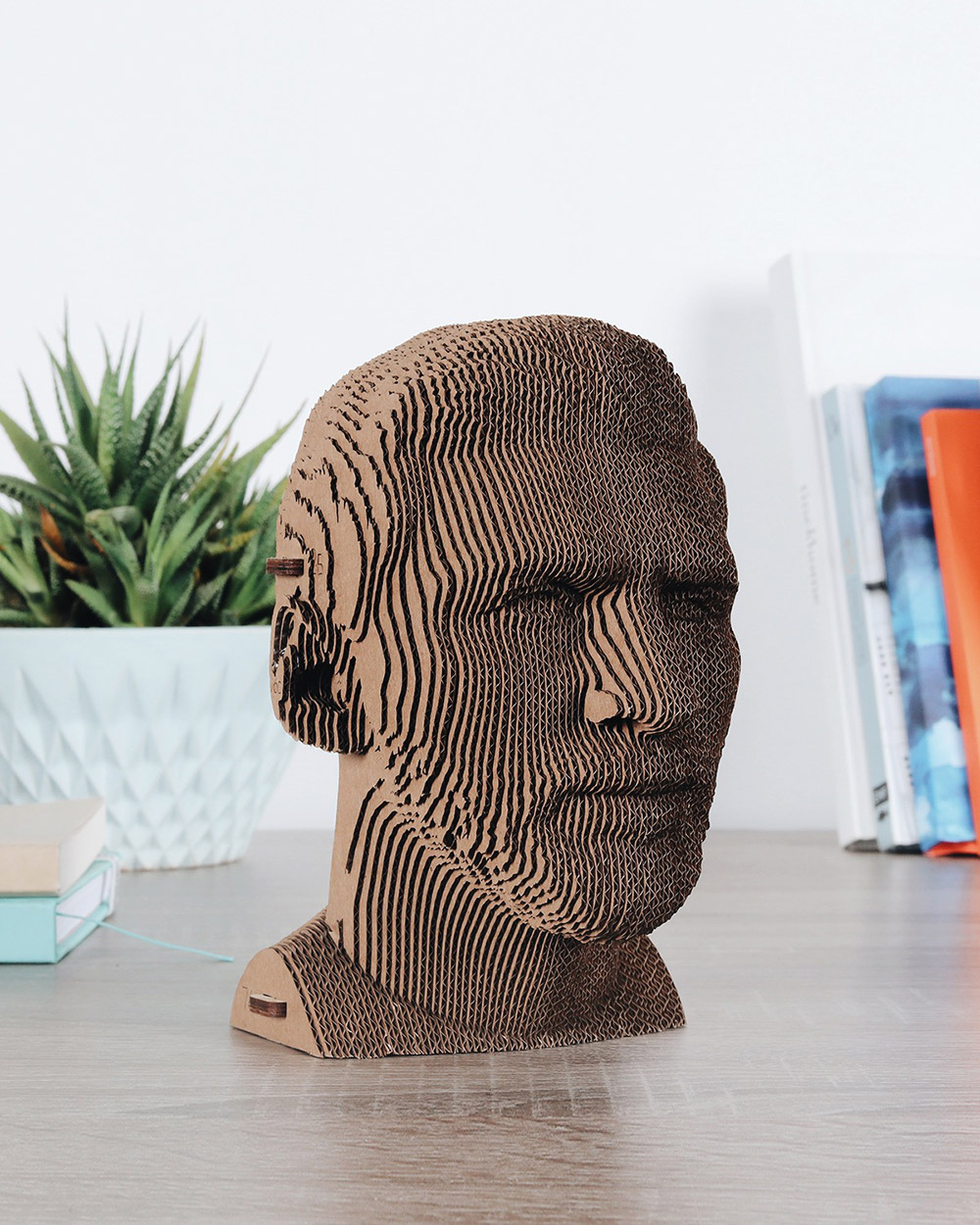 *Cartonic 3D Pussel LIONEL