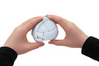 REA Pussel Morph’s Egg