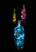 Bottle Light Ljusslinga Multi