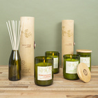 Candle Verbena Lemongrass