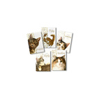 Card Set Kittens Lovely Day