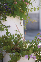 Garden Incense & Holder