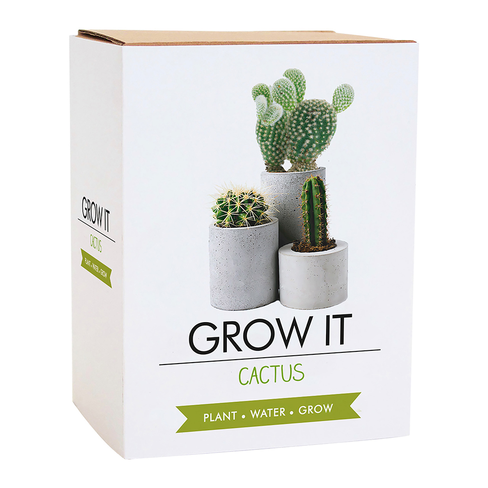 Odlingskit Cactus