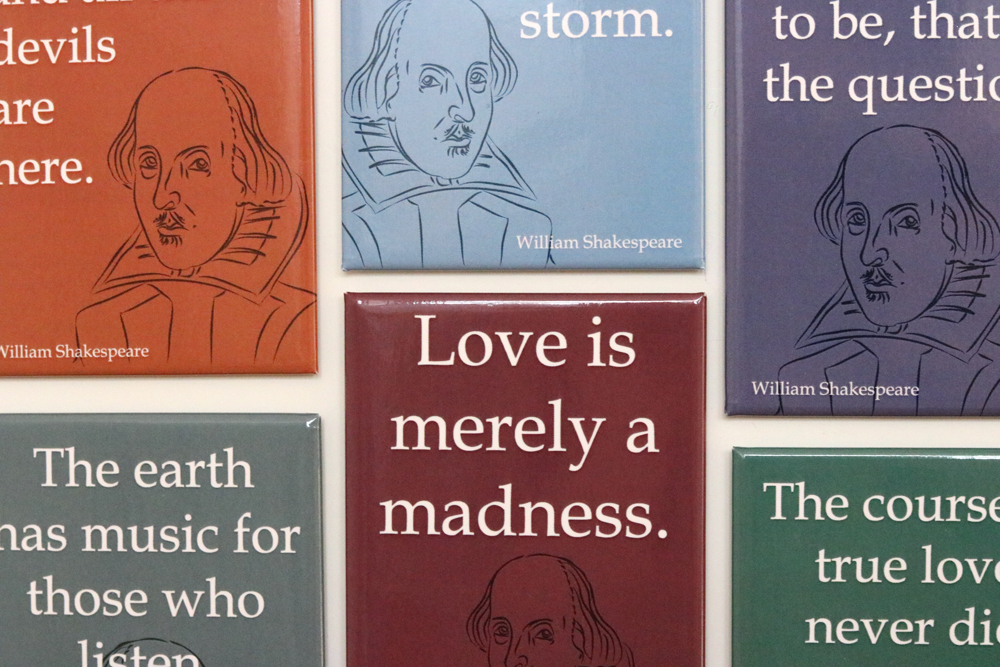 *REA MAGNET SHAKESPEARE THE COURSE
