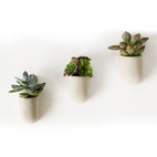 Magnetic Plant Pot Set