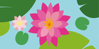 Pop-Upkort Näckros Rosa