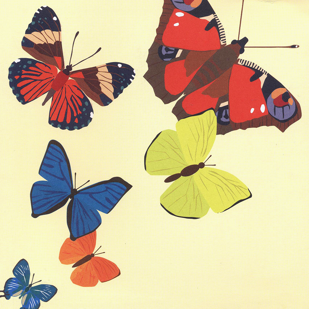 Pop-upkort 30 fjärilar