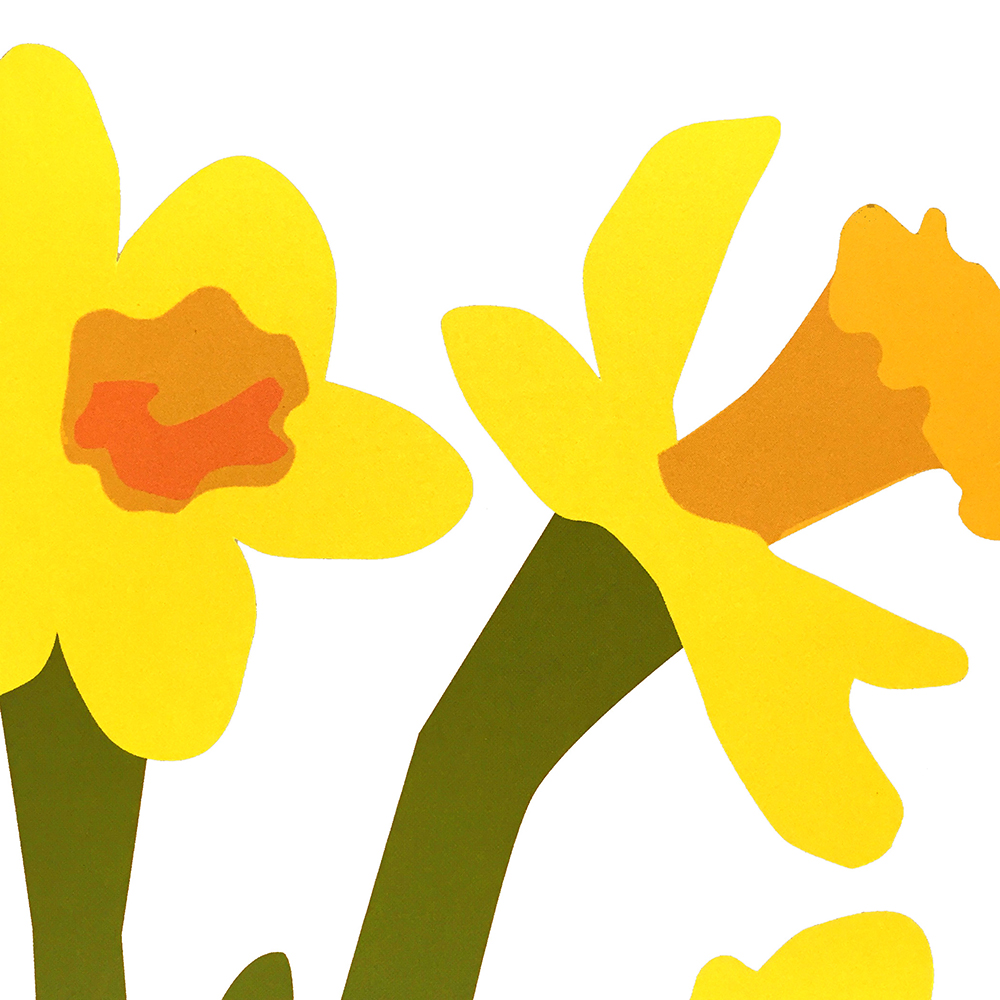 POP-UP CARD DAFFODILS