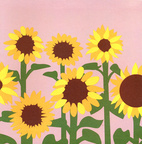 Pop-up card Sunflower Field