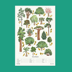 Poster Trees of interest