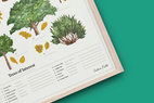 *REA Poster Trees of interest