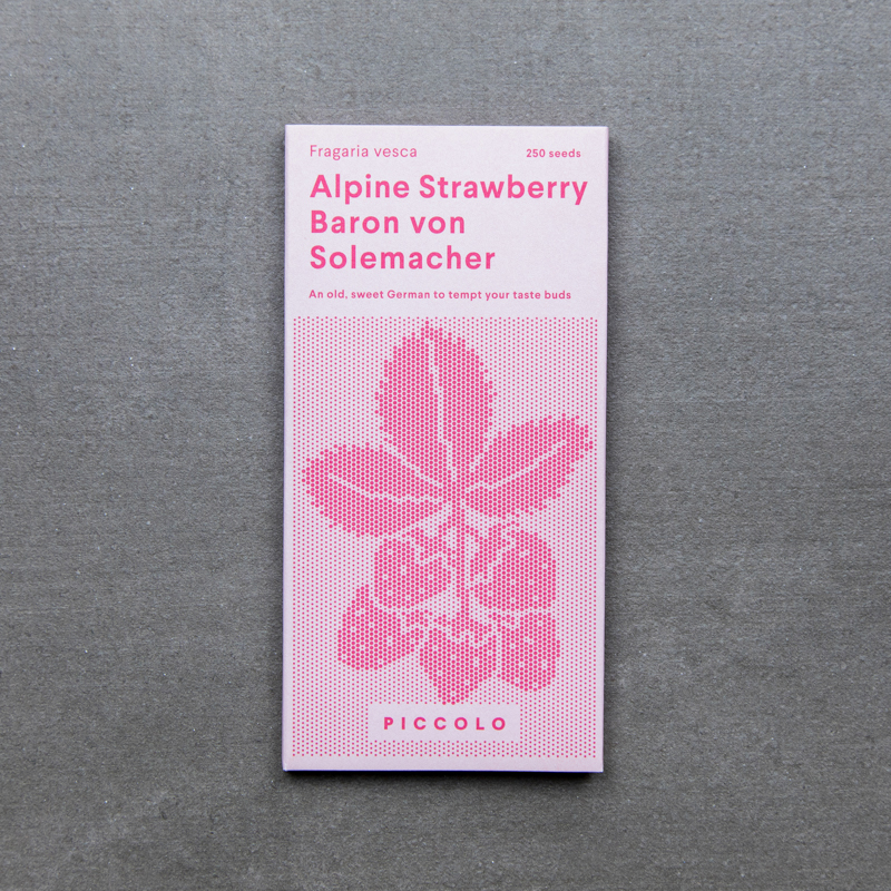 Alpine Strawberry