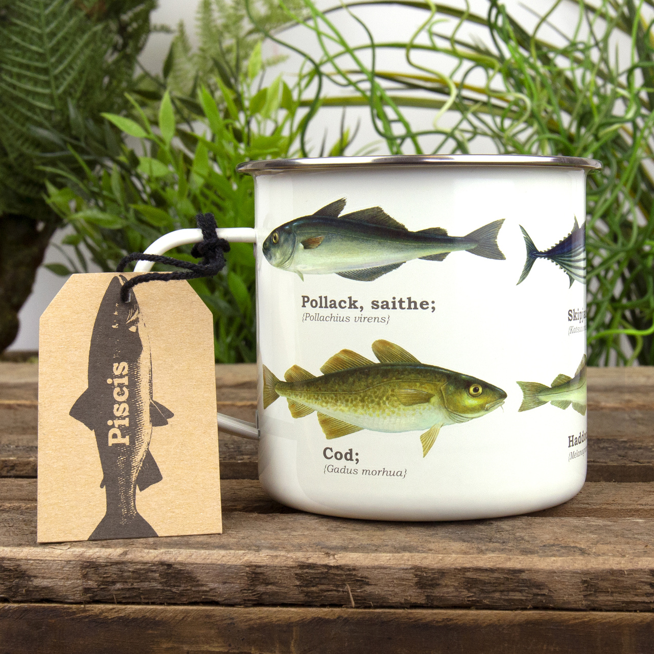 Enamel Mug Multi Fish