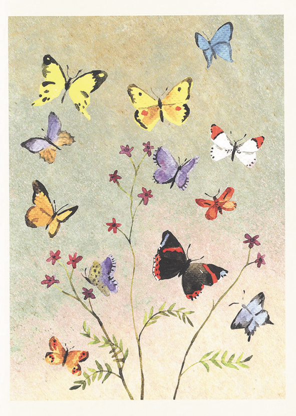 GREETING CARDS BUTTERFLIES