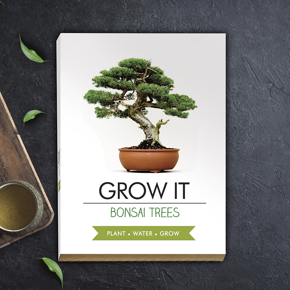 Grow Kit Bonsai Trees