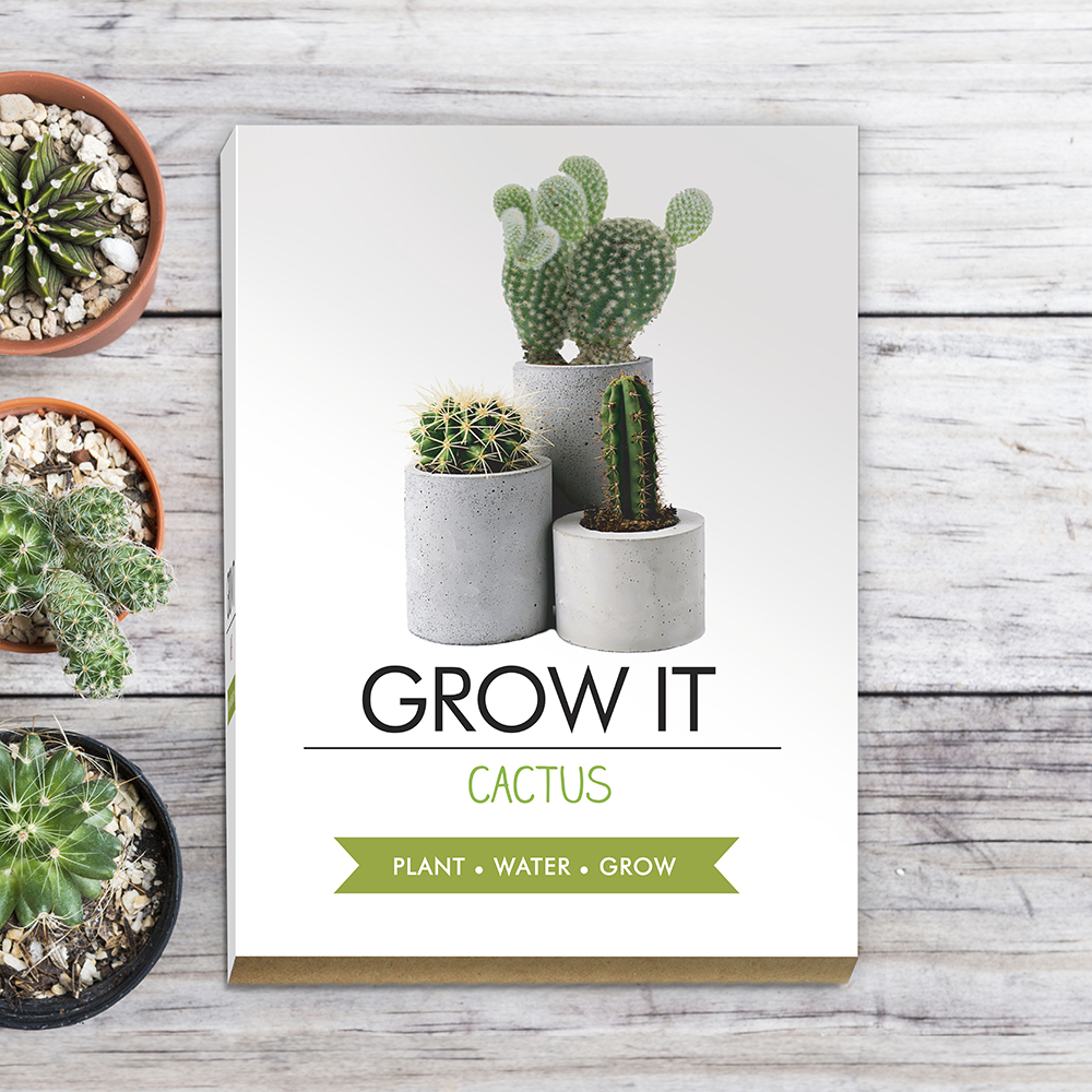 Grow Kit Cactus