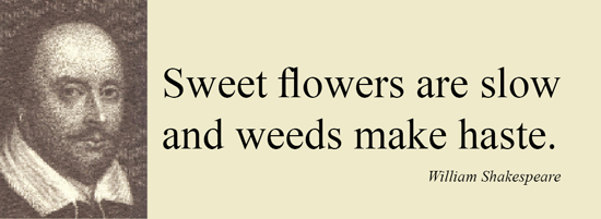 Magnet/Sweet flowers are